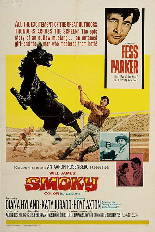 《游侠神龙》电影封面