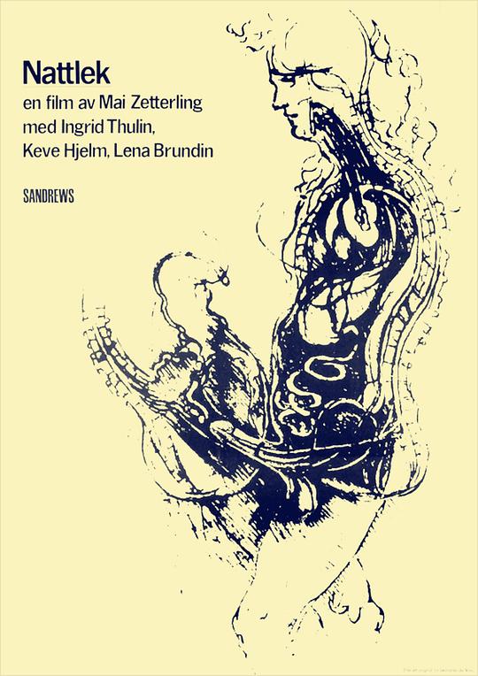 《夜之游戏》电影封面