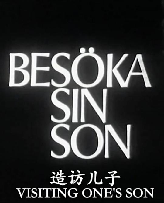 《造访儿子》电影封面