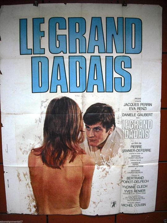 《Le grand dadais》电影封面