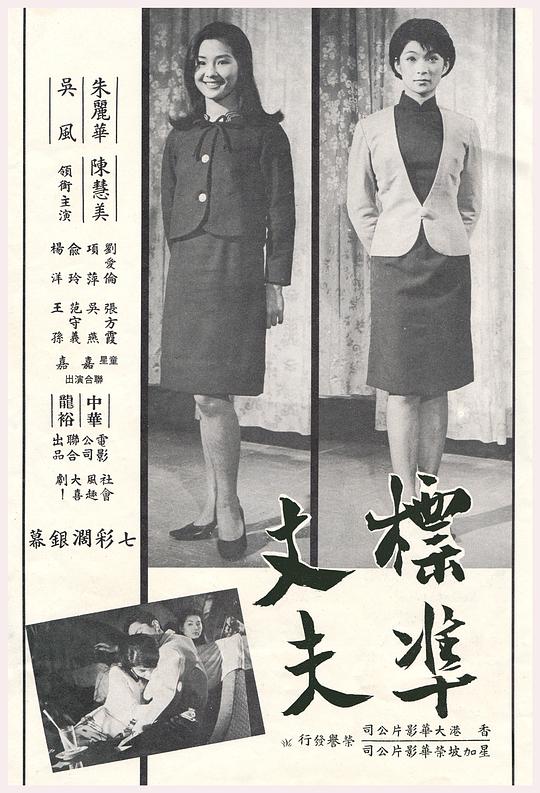 《最标准的丈夫》电影封面