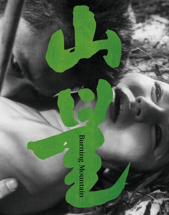 《山火》电影封面