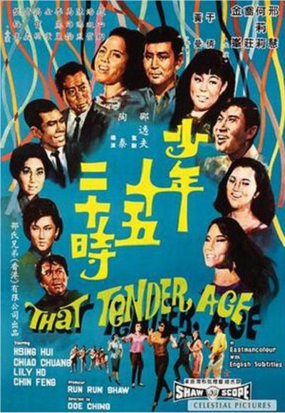 《少年十五二十时》歌舞剧封面