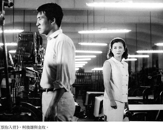 《恨你入骨》电影封面