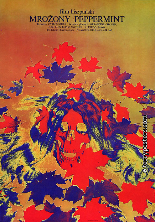 《薄荷刨冰》电影封面