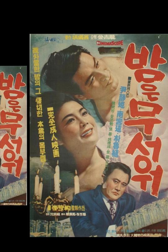 《恐惧之夜》电影封面