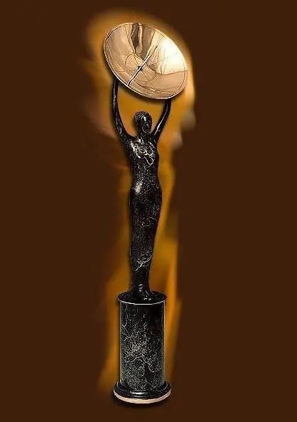 《第3届金卫星奖》封面