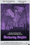 新呼啸山庄封面