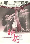 《秘花》封面