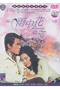 《雨中花》封面