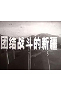 《团结战斗的新疆》封面