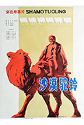 《沙漠驼铃》封面