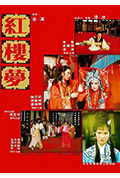 《新红楼梦》封面