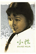 《小花》封面