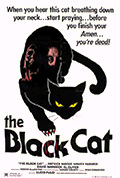 《黑猫》封面