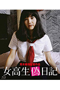 《女高中生伪日记》封面