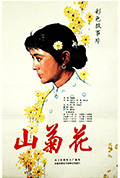 《山菊花》封面