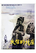 失信的村庄封面