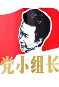 《党小组长》封面