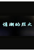 《情潮的烈火》封面
