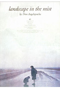 雾中风景封面