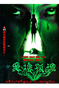 黑楼孤魂封面