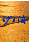 沙与海封面