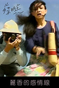 丽香的感情线封面