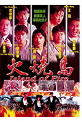 《火烧岛》封面