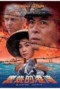 《燃烧的港湾》封面