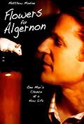 《献给阿尔吉侬的花束》封面