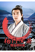 《杨门女将之情定穆柯寨》封面