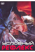 反射的条件封面