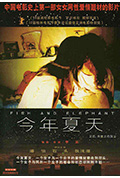今年夏天封面