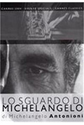 米开朗基罗的凝视封面