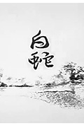 白蛇封面