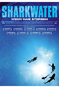 《鲨鱼海洋》封面