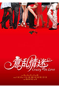 意乱情迷封面