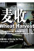 麦收封面