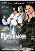 《复仇》封面
