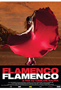 弗拉门戈，弗拉门戈封面