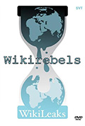 维基解密的抗争封面
