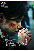 那一年曾做错的事封面