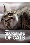 BBC地平线：猫的秘密生活封面