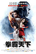 冬荫功2:拳霸天下封面