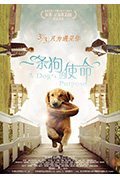 《一条狗的使命》封面