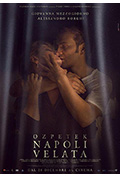 《面纱下的那不勒斯》封面