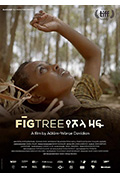 《无花果之树》封面