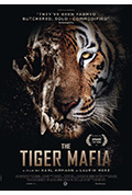 《老虎黑帮》封面