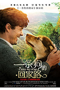 一条狗的回家路封面